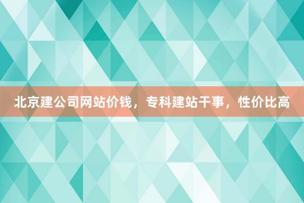 北京建公司网站价钱，专科建站干事，性价比高